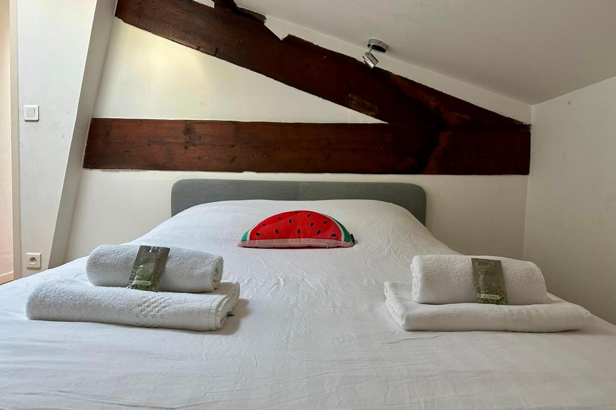 GROOMI Le Duplex- Climatisé, 3 chb centre de Montpellier! Esterno foto